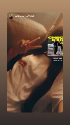 Twins on Ice Instagram Storie vom 27.05.2026