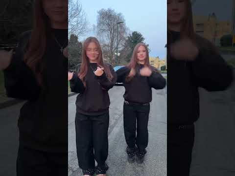 🖤🖤 #dance #shortvideo #fun #trending #trend #twins #viralshort #black #style #loveit #bestie