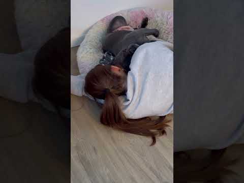 🥹 habt ihr Haustiere? #dogshorts #doglove #cutedog #twins #animals #cute #love #doglife #beautiful